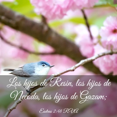 Picture 03 - Esdras 2:48 RVA - Los hijos de Resin, los hijos de Necoda, los - Bible Verse Picture