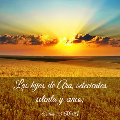 Picture 03 - Esdras 2:5 RVA - Los hijos de Ara, setecientos setenta y - Bible Verse Picture