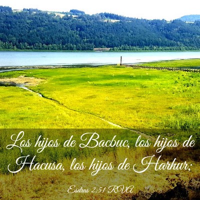 Picture 03 - Esdras 2:51 RVA - Los hijos de Bacbuc, los hijos de Hacusa, los - Bible Verse Picture