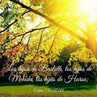 Picture 03 - Esdras 2:52 RVA - Los hijos de Basluth, los hijos de Mehida, los - Bible Verse Picture