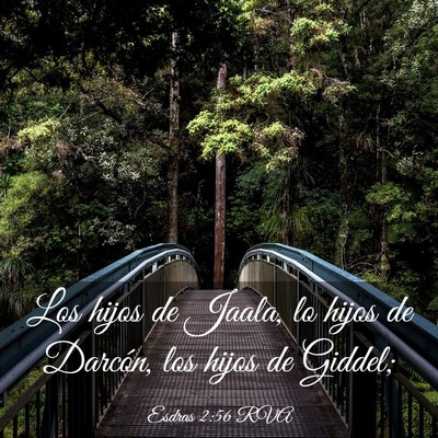 Picture 03 - Esdras 2:56 RVA - Los hijos de Jaala, lo hijos de Darcón, los - Bible Verse Picture