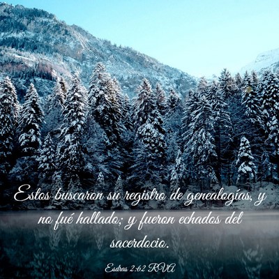 Picture 03 - Esdras 2:62 RVA - Estos buscaron su registro de genealogías, y no - Bible Verse Picture