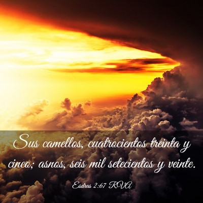 Picture 03 - Esdras 2:67 RVA - Sus camellos, cuatrocientos treinta y cinco; - Bible Verse Picture