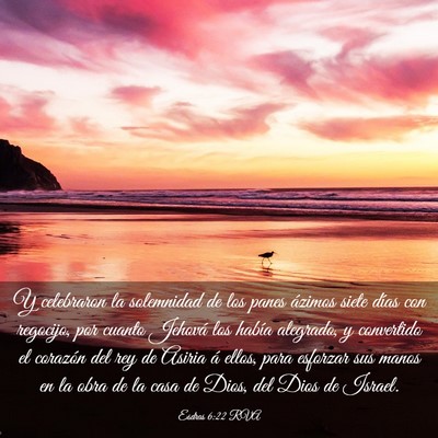 Picture 03 - Esdras 6:22 RVA - Y celebraron la solemnidad de los panes ázimos - Bible Verse Picture