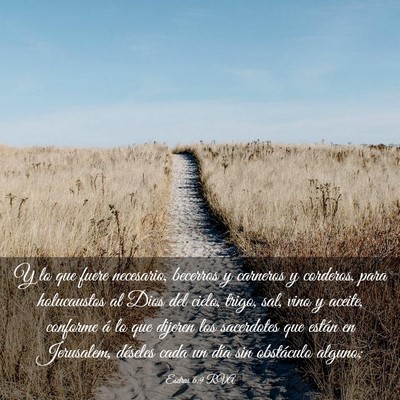 Picture 03 - Esdras 6:9 RVA - Y lo que fuere necesario, becerros y carneros y - Bible Verse Picture