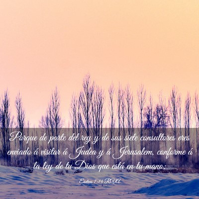 Picture 03 - Esdras 7:14 RVA - Porque de parte del rey y de sus siete - Bible Verse Picture