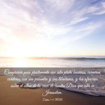 Picture 03 - Esdras 7:17 RVA - Comprarás pues prestamente con esta plata - Bible Verse Picture