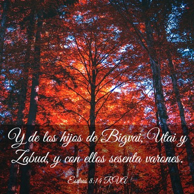 Picture 03 - Esdras 8:14 RVA - Y de los hijos de Bigvai, Utai y Zabud, y con - Bible Verse Picture