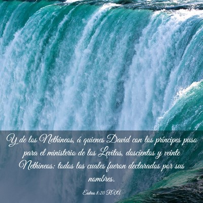 Picture 03 - Esdras 8:20 RVA - Y de los Nethineos, á quienes David con los - Bible Verse Picture