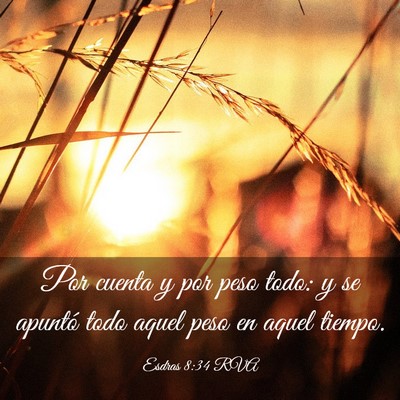 Picture 03 - Esdras 8:34 RVA - Por cuenta y por peso todo: y se apuntó todo - Bible Verse Picture