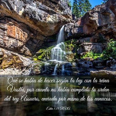 Picture 03 - Ester 1:15 RVA - Qué se había de hacer según la ley con la - Bible Verse Picture