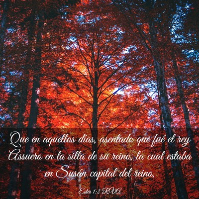 Picture 03 - Ester 1:2 RVA - Que en aquellos días, asentado que fué el rey - Bible Verse Picture