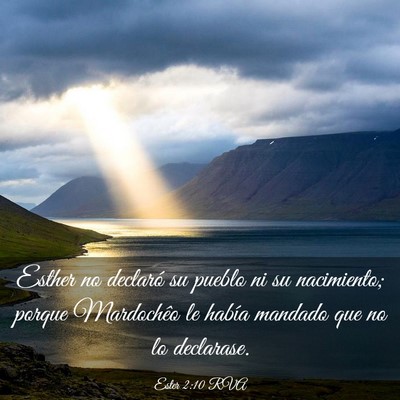 Picture 03 - Ester 2:10 RVA - Esther no declaró su pueblo ni su nacimiento; - Bible Verse Picture