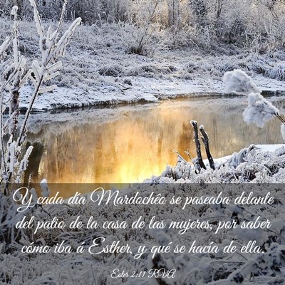 Picture 03 - Ester 2:11 RVA - Y cada día Mardochêo se paseaba delante del - Bible Verse Picture