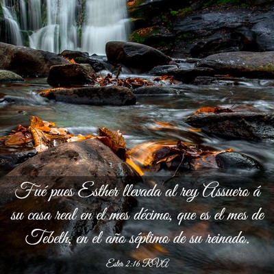 Picture 03 - Ester 2:16 RVA - Fué pues Esther llevada al rey Assuero á su - Bible Verse Picture