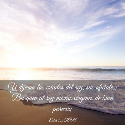 Picture 03 - Ester 2:2 RVA - Y dijeron los criados del rey, sus oficiales: - Bible Verse Picture