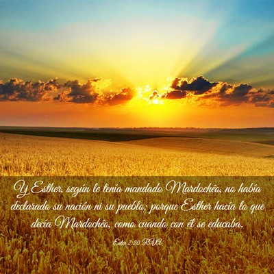 Picture 03 - Ester 2:20 RVA - Y Esther, según le tenía mandado Mardochêo, no - Bible Verse Picture