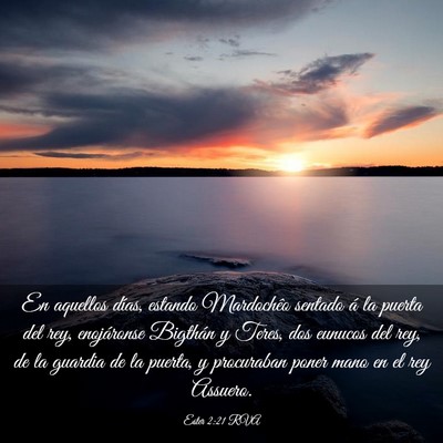 Picture 03 - Ester 2:21 RVA - En aquellos días, estando Mardochêo sentado á - Bible Verse Picture