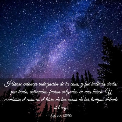 Picture 03 - Ester 2:23 RVA - Hízose entonces indagación de la cosa, y fué - Bible Verse Picture