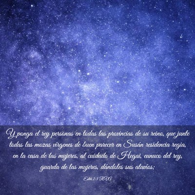 Picture 03 - Ester 2:3 RVA - Y ponga el rey personas en todas las provincias - Bible Verse Picture
