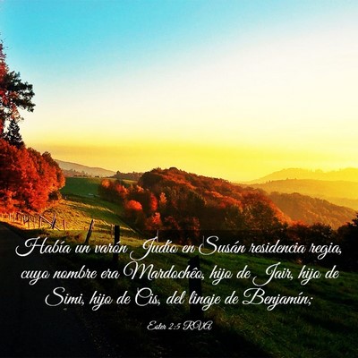 Picture 03 - Ester 2:5 RVA - Había un varón Judío en Susán residencia - Bible Verse Picture