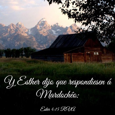 Picture 03 - Ester 4:15 RVA - Y Esther dijo que respondiesen á - Bible Verse Picture