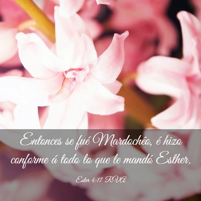 Picture 03 - Ester 4:17 RVA - Entonces se fué Mardochêo, é hizo conforme á - Bible Verse Picture