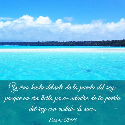 Picture 03 - Ester 4:2 RVA - Y vino hasta delante de la puerta del rey: porque - Bible Verse Picture