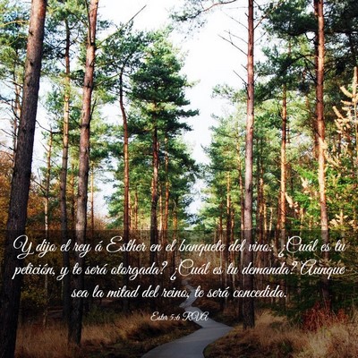 Picture 03 - Ester 5:6 RVA - Y dijo el rey á Esther en el banquete del vino: - Bible Verse Picture