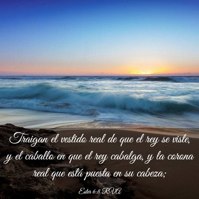 Picture 03 - Ester 6:8 RVA - Traigan el vestido real de que el rey se viste, y - Bible Verse Picture