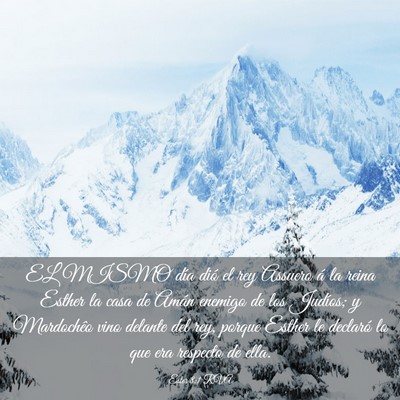 Picture 03 - Ester 8:1 RVA - EL MISMO día dió el rey Assuero á la reina - Bible Verse Picture