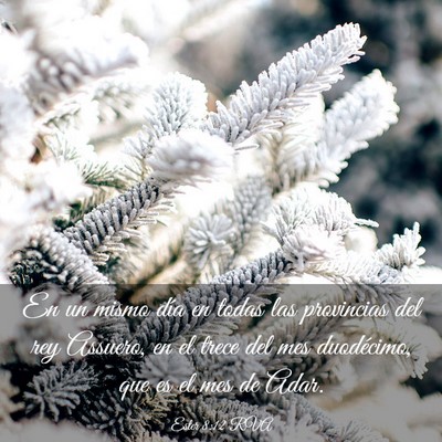 Picture 03 - Ester 8:12 RVA - En un mismo día en todas las provincias del rey - Bible Verse Picture