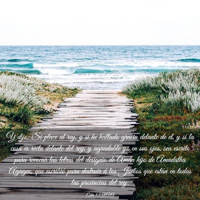 Picture 03 - Ester 8:5 RVA - Y dijo: Si place al rey, y si he hallado gracia - Bible Verse Picture