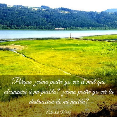 Picture 03 - Ester 8:6 RVA - Porque ¿cómo podré yo ver el mal que - Bible Verse Picture