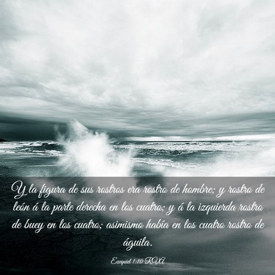 Picture 03 - Ezequiel 1:10 RVA - Y la figura de sus rostros era rostro de hombre; - Bible Verse Picture