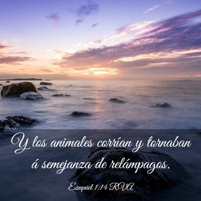 Picture 03 - Ezequiel 1:14 RVA - Y los animales corrían y tornaban á semejanza - Bible Verse Picture