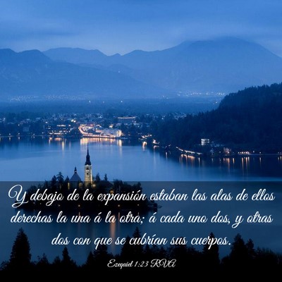 Picture 03 - Ezequiel 1:23 RVA - Y debajo de la expansión estaban las alas de - Bible Verse Picture