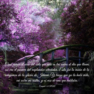 Picture 03 - Ezequiel 1:28 RVA - Cual parece el arco del cielo que está en las - Bible Verse Picture