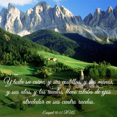 Picture 03 - Ezequiel 10:12 RVA - Y toda su carne, y sus costillas, y sus manos, y - Bible Verse Picture