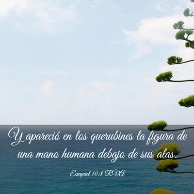 Picture 03 - Ezequiel 10:8 RVA - Y apareció en los querubines la figura de una - Bible Verse Picture