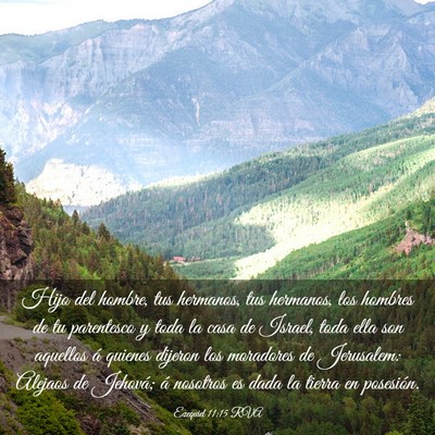 Picture 03 - Ezequiel 11:15 RVA - Hijo del hombre, tus hermanos, tus hermanos, los - Bible Verse Picture