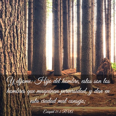 Picture 03 - Ezequiel 11:2 RVA - Y díjome: Hijo del hombre, estos son los hombres - Bible Verse Picture
