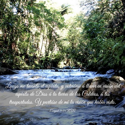 Picture 03 - Ezequiel 11:24 RVA - Luego me levantó el espíritu, y volvióme á - Bible Verse Picture