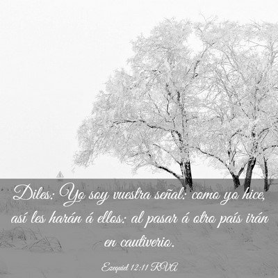 Picture 03 - Ezequiel 12:11 RVA - Diles: Yo soy vuestra señal: como yo hice, así - Bible Verse Picture
