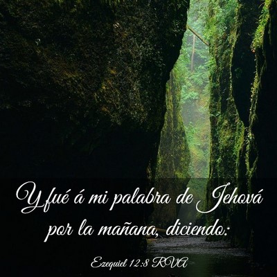 Picture 03 - Ezequiel 12:8 RVA - Y fué á mi palabra de Jehová por la mañana, - Bible Verse Picture