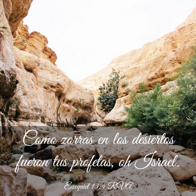 Picture 03 - Ezequiel 13:4 RVA - Como zorras en los desiertos fueron tus profetas, - Bible Verse Picture