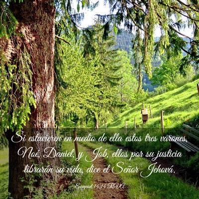Picture 03 - Ezequiel 14:14 RVA - Si estuvieren en medio de ella estos tres - Bible Verse Picture