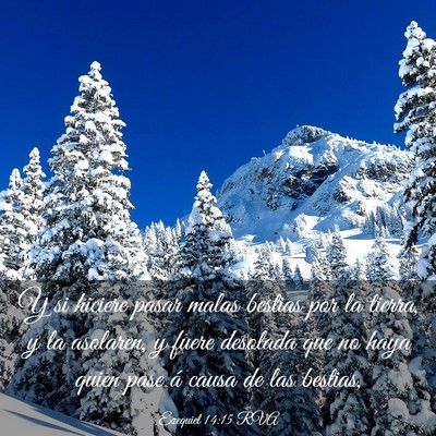 Picture 03 - Ezequiel 14:15 RVA - Y si hiciere pasar malas bestias por la tierra, y - Bible Verse Picture