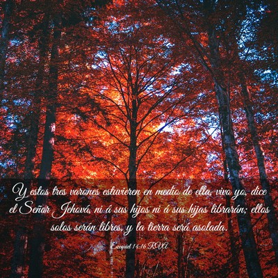 Picture 03 - Ezequiel 14:16 RVA - Y estos tres varones estuvieren en medio de ella, - Bible Verse Picture