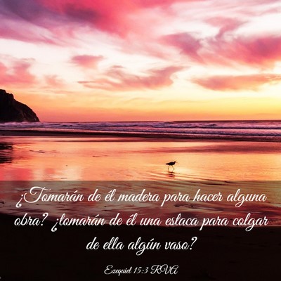 Picture 03 - Ezequiel 15:3 RVA - ¿Tomarán de él madera para hacer alguna obra? - Bible Verse Picture